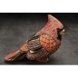 Cardinal Bird