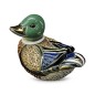 Mallard Duck Mallard Duck