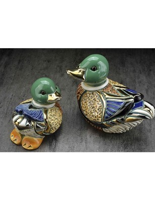 Mallard Duck