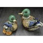 Mallard Duck Mallard Duck