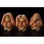 Orangutan (Hear No Evil)
