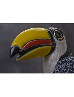 Toco Toucan