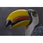 Toco Toucan