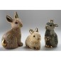 Hare, Bunny, Rabbit Hare, Bunny, Rabbit