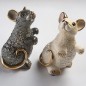 Black Rat