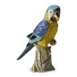 De Rosa Rinconada Blue Parrot