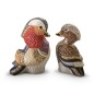 Mandarin Duck Mandarin Duck