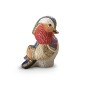 Mandarin Duck Mandarin Duck