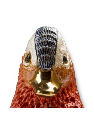 De Rosa Rinconada Mandarin Duck