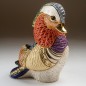 Mandarin Duck Mandarin Duck