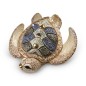 De Rosa Rinconada Sea Turtle
