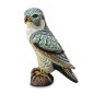 Falcon bird