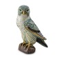 De Rosa Rinconada Falcon bird