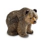 Grizzly Bear