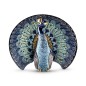 De Rosa Rinconada Blue Peacock