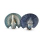 Blue Peacock Blue Peacock