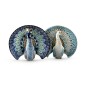 Blue Peacock Blue Peacock