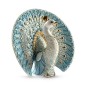 White Peacock