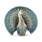 De Rosa Rinconada White Peacock