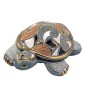 Galapagos Turtle