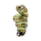 Snake Snake