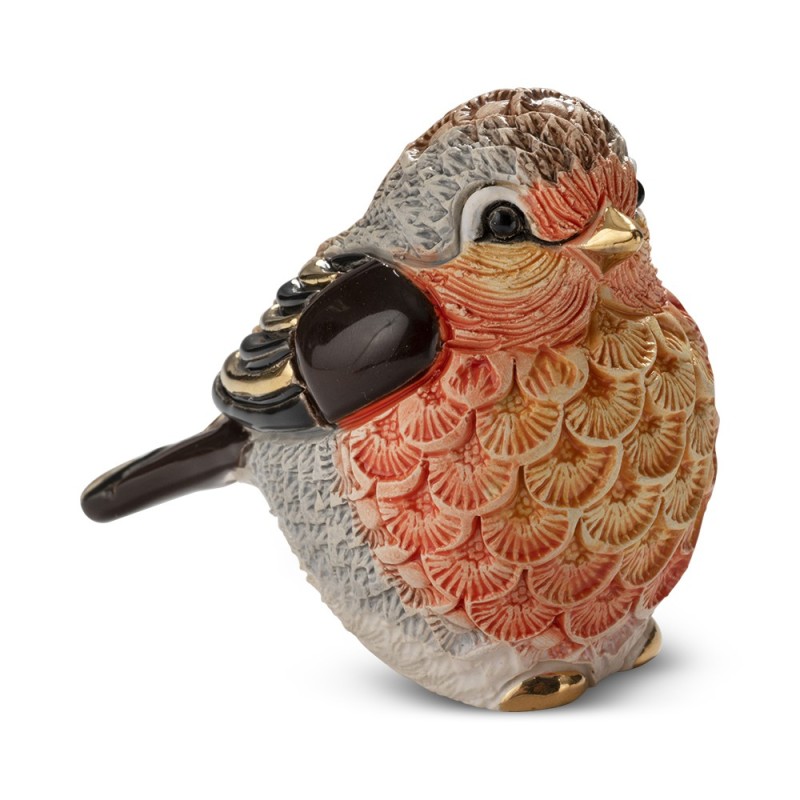 Robin, Redbreast bird Robin, Redbreast bird