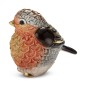 Robin, Redbreast bird Robin, Redbreast bird