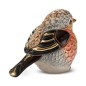 Robin, Redbreast bird Robin, Redbreast bird