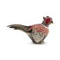 Pheasant Pheasant