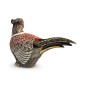 Pheasant Pheasant