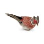 Pheasant Pheasant