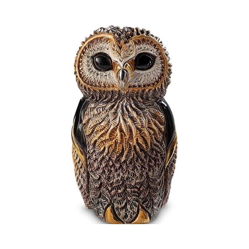 African Cape Owl African Cape Owl