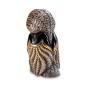African Cape Owl African Cape Owl