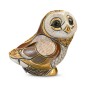 De Rosa Rinconada Baby Barn Owl II