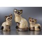 Siamese Kitten Sitting