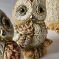 Baby Boreal Owl I