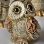 Baby Boreal Owl II