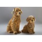 Golden Retriever Puppy, Dog Golden Retriever Puppy, Dog