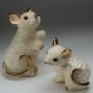 Baby White Rat