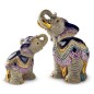 Baby Indian Elephant Baby Indian Elephant