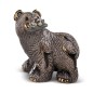 Grizzly Bear Grizzly Bear