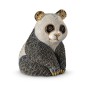 Baby Panda Sitting Baby Panda Sitting