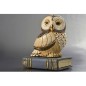 Owl on book Owl on book