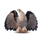 Proud Bald Eagle Proud Bald Eagle
