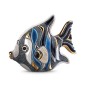 De Rosa Rinconada Blue Angel Fish