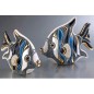 Blue Angel Fish