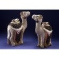 Camel Camel