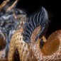 Chinese Dragon (Limited Edition: 88 Pieces) Chinese Dragon (Limited Edition: 88 Pieces)