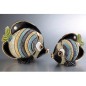 Butterfly Fish