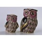 Long Eared Owl